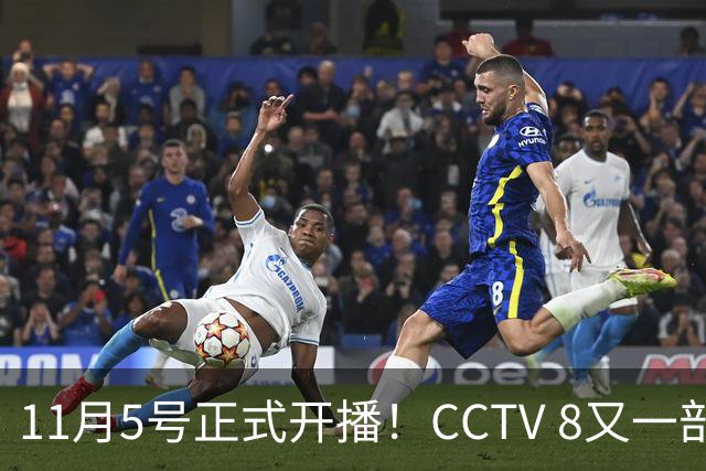 11月5号正式开播！CCTV 8又一部好剧来袭，主角配角我都很喜欢